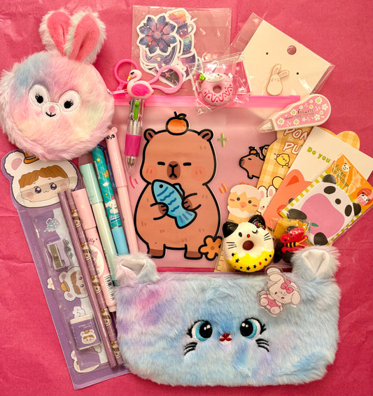 Curated Stationery Gift Box – Cute Surprise Stationery Pink, Purple (NZ)